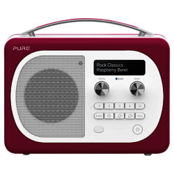 Pure Evoke D4 Mio DAB/FM Bluetooth Radio Raspberry